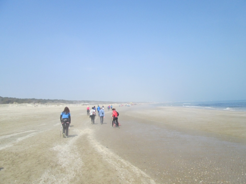 Marina di Ravenna 12 aprile 2015 2 Tappa