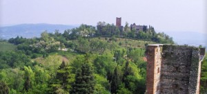 castelli montecchio