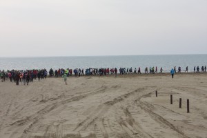 IMG 6396
